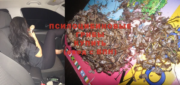 ПСИЛОЦИБИНОВЫЕ ГРИБЫ Баксан
