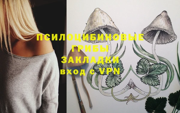 спиды Балахна