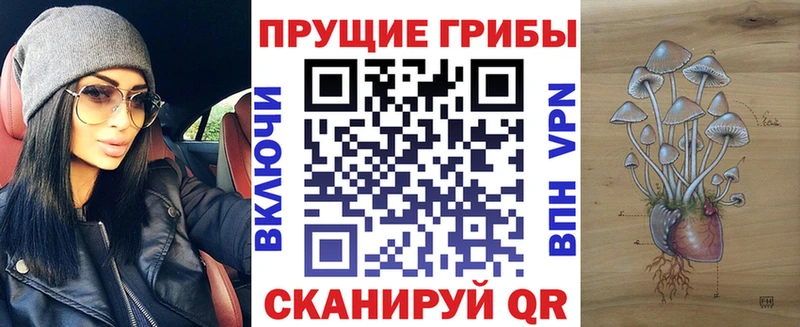 Купить  Венёв  Галлюциногенные грибы MAGIC MUSHROOMS 