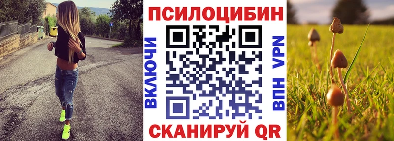 Галлюциногенные грибы Psilocybe Венёв